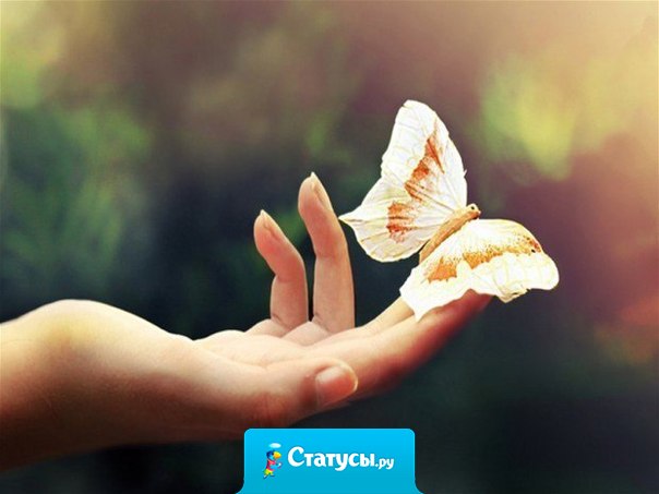 Пусть у тебя будет сердце, которое никогда не ожесточится, и характер, который никогда не испортится, и прикосновение, которое никогда не ранит.