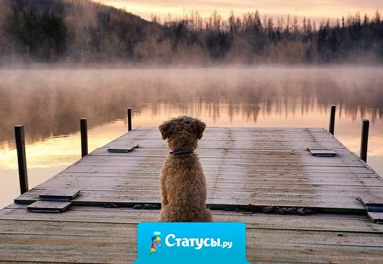 Уважения заслуживают те люди, которые независимо от ситуации, времени и места, остаются такими же, какие они есть на самом деле.