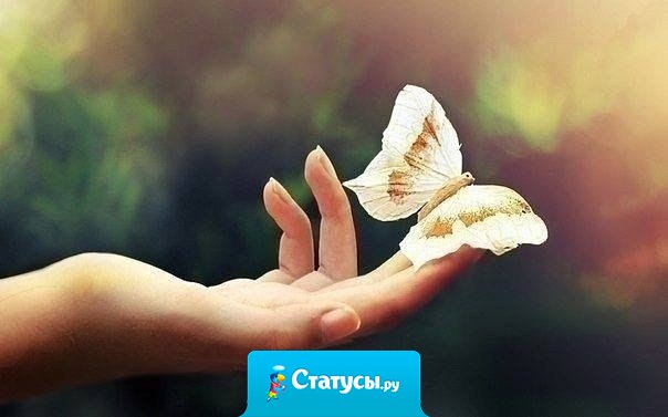 В нашем ненадёжном мире нет ничего более трудно достижимого и хрупкого, чем доверие.