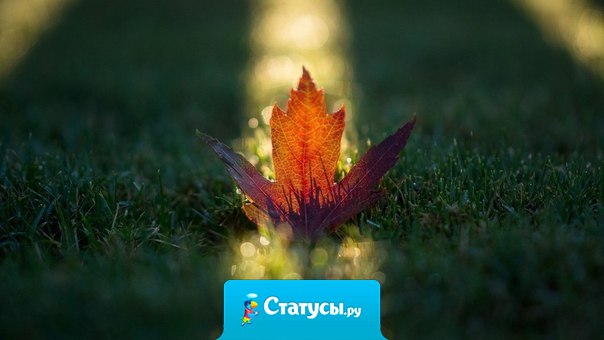 Не забывайте, тишина - иногда самый лучший ответ на все вопросы.