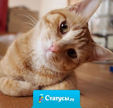 Стоит только иначе взглянуть на вещи, и жизнь потечёт в ином направлении.