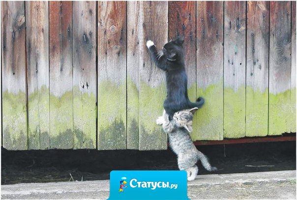 Поистине нет в жизни ничего лучшего, чем помощь друга и взаимная радость.