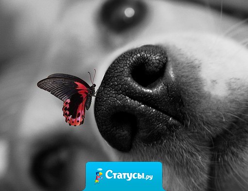 Слишком много переживаем. Слишком серьезно воспринимаем. Надо относится ко всему проще. Но с умом. Без нервов. Главное думать. И не делать глупостей.