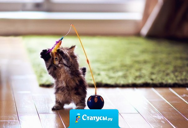 Невозможно злиться на того, кто заставляет вас смеяться!