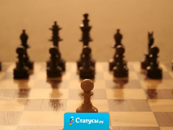 И пусть целый мир ополчится против меня. Это мое мнение, мое решение, моя цель.