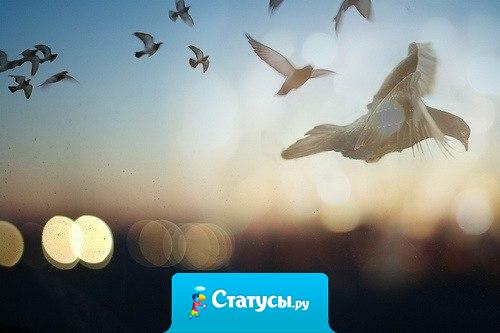 Если вы сейчас бездействуете, то либо у вас впереди неопределенность, либо вы сожалеете о чем-то. 