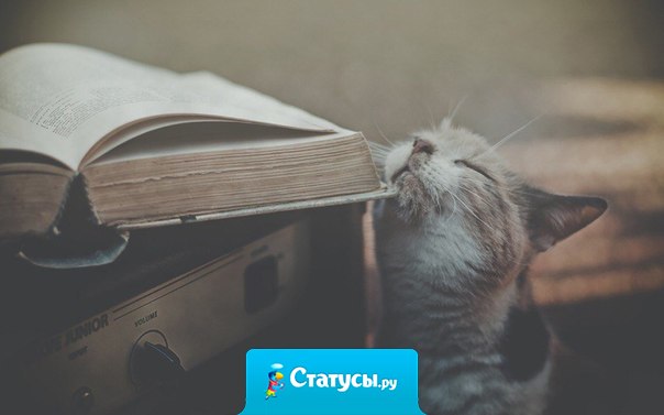 Запах имеет большое значение. Если вам нравится, как от кого-то пахнет, значит, вам нравится и сам человек.