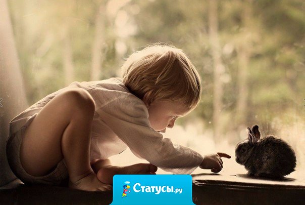 Крошечный добрый поступок лучше, чем самые торжественные обещания сделать невозможное.