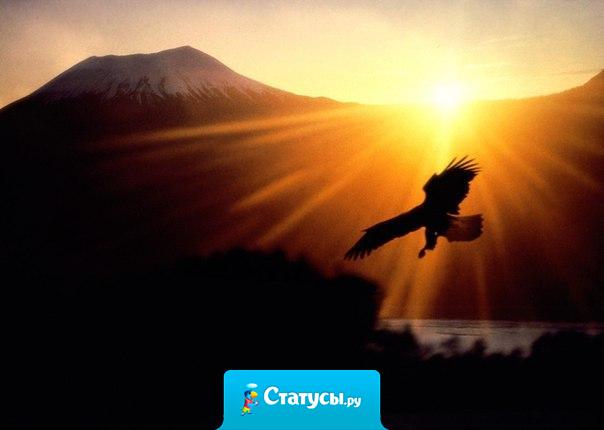 Иметь веру — это почти то же самое, что иметь крылья.