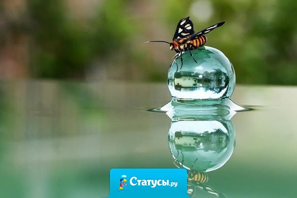 Нельзя сделать одного громадного шага, который тут же обеспечит вам достижение нужной цели. Ибо любая нужная цель достигается через множество мелких и вполне обычных шагов.