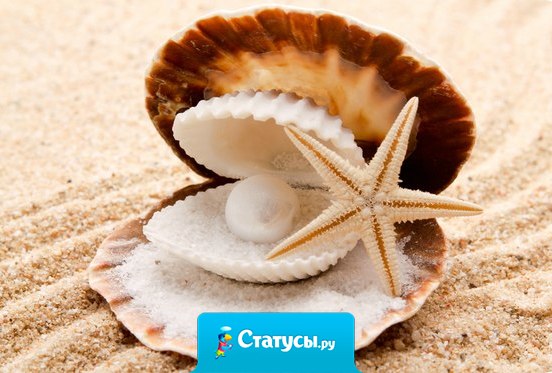 Если вы измеряете свой успех мерой чужих похвал и порицаний, ваша тревога будет бесконечной.