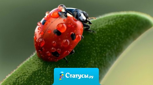 Человек не рождается раз и навсегда в тот день, когда мать производит его на свет, жизнь заставляет его снова и снова — много раз — родиться заново самому.