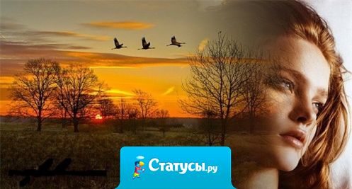 Чуешь, какой воздух? Август пришёл. Прощай, лето.