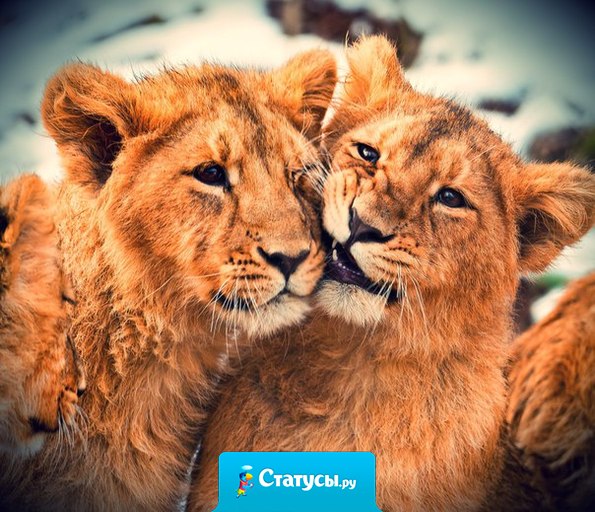 Те вещи, которые нужны по-настоящему, за деньги не купишь.