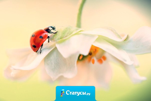 Никогда не подвергай сомнению чудеса, когда они происходят.