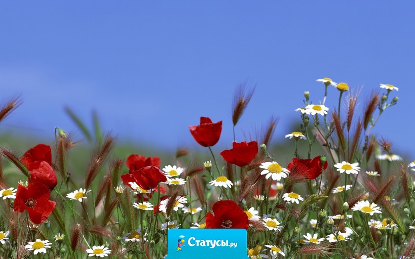 В мире нет ничего более привлекательного, чем естественность...