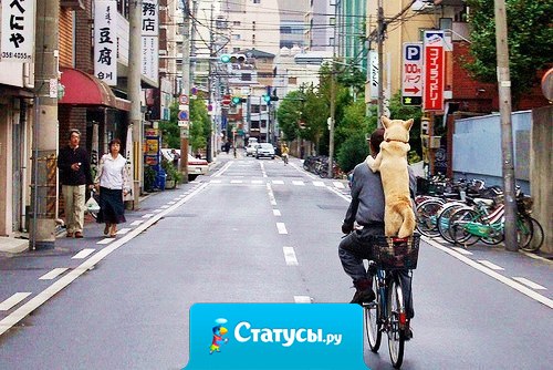 Лучшее приключение - путешествие с другом.