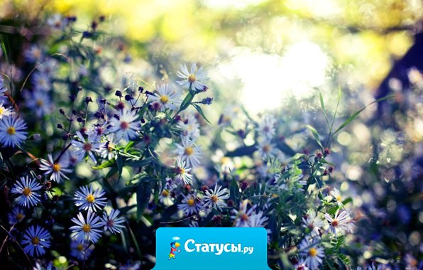 Пора перестать ждать неожиданных подарков от жизни, а самому делать жизнь...