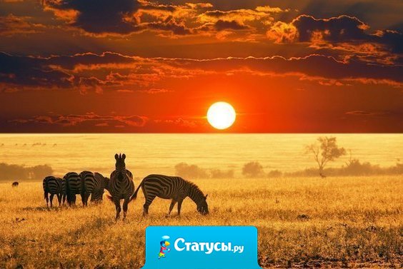 У каждой случайности есть своя цель, у каждого случая есть свой смысл...