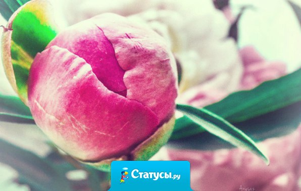 В каждой женщине есть своя изюминка, но для того, чтобы ее найти, не нужно крошить весь пирог...