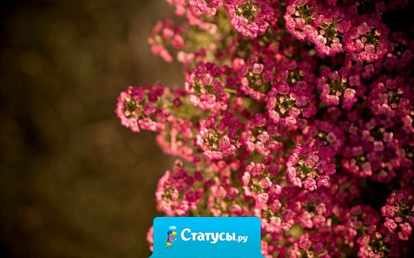 Чтобы стать счастливым, нужно постоянно стремиться к этому счастью и понимать его. Оно зависит не от обстоятельств, а от тебя...