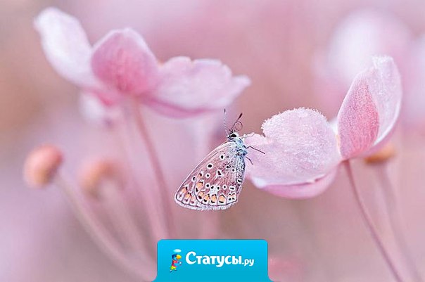 Ребёнок – зеркало поступков родителей...