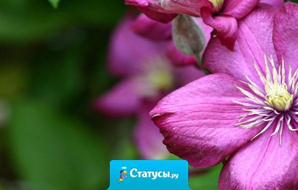 Жизнь – это миг. Ее нельзя прожить сначала на черновике, а потом переписать на беловик...