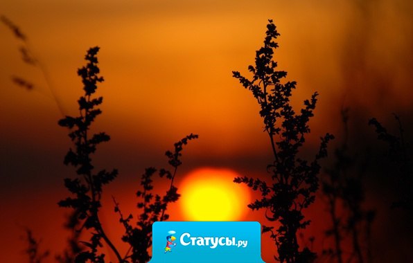 Разница между мужской и женской любовью заключается в том, что женщина любит всем сердцем и всей душой, а мужчина – всем своим умом и телом...