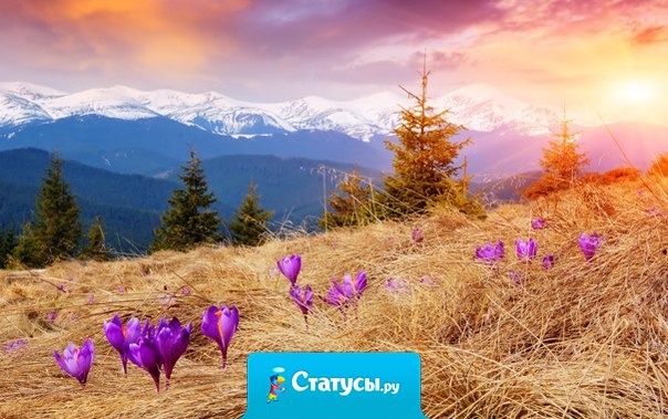 Живи так, как будто ты сейчас должен проститься с жизнью, как будто время, оставленное тебе, есть неожиданный подарок...