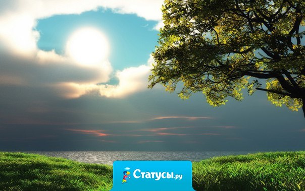 Если у тебя гарем из 40 женщин, ты никогда не узнаешь очень хорошо ни одну из них...