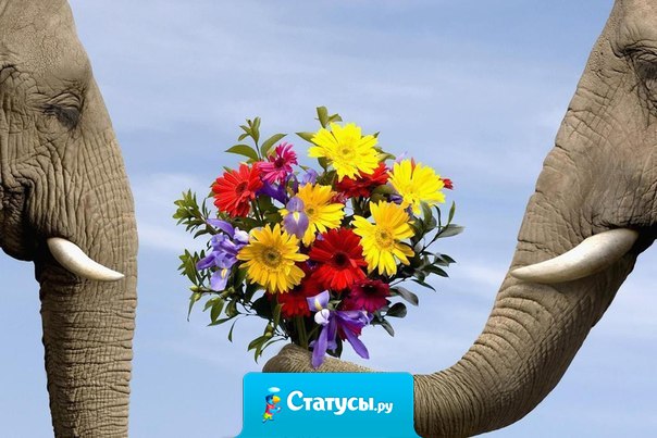 Красив тот, кто красиво поступает...