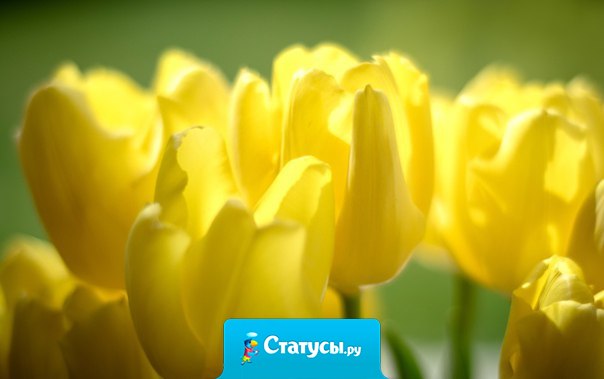 Мужчины делают женщин беспомощными, когда берут на себя все решения, давая им указания. В моей жизни мужчины делали все, чтобы обречь меня на зависимость от них...