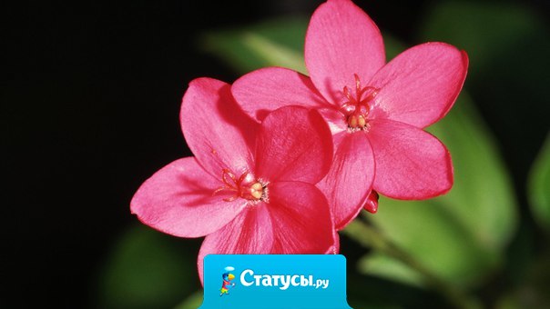 Кто хочет честно пройти свою жизнь, должен в молодости иметь в виду, что когда-нибудь он будет стариком, а в старости помнить, что и он когда-то был молод...