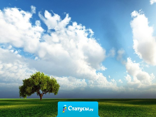 Чужая жизнь, как чужие окна… Даже, если на подоконнике цветы, это еще не значит, что внутри рай…