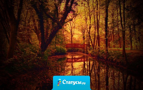 Жизни верь, она ведь учит лучше всяких книг...