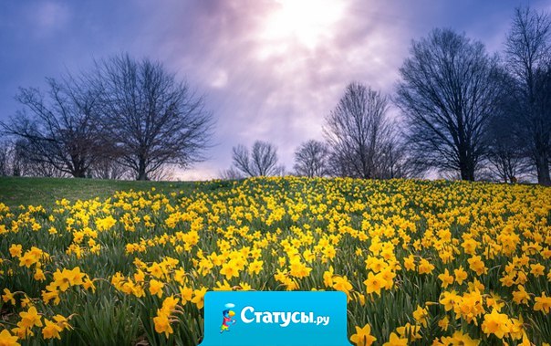 Никогда не вешай нос и не опускай низко голову! Иначе дорогу под ногами не разглядишь, и пройдешь важный в жизни поворот…