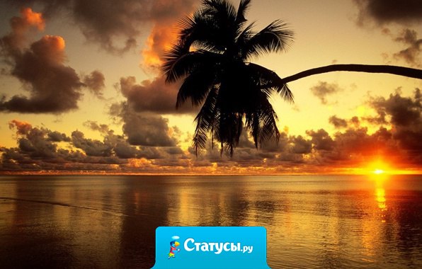 Быть богатым и иметь много денег – не одно и то же. По настоящему богат, тот кто удовлетворён своей жизнью...