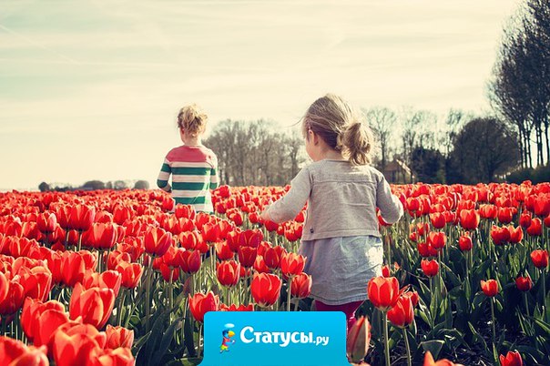 Чем больше в душе солнца - тем ярче вокруг жизнь...