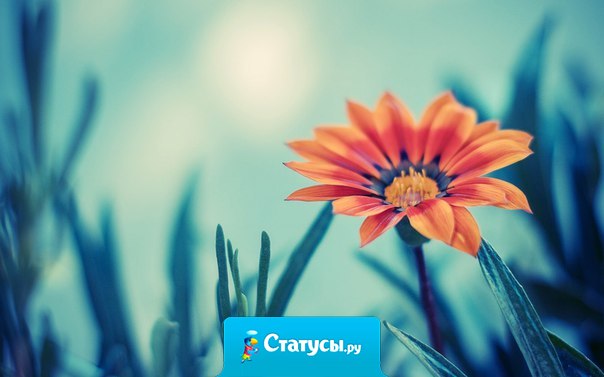 Здоровье - это главное жизненное благо...