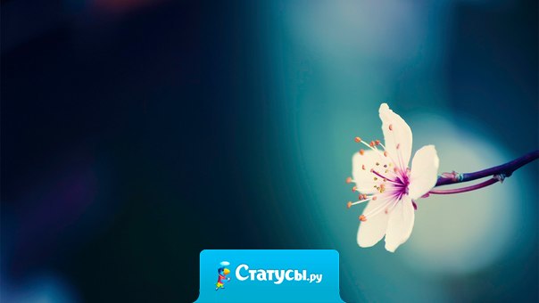 Существует такая степень счастья и горя, которая выходит за пределы нашей способности чувствовать...