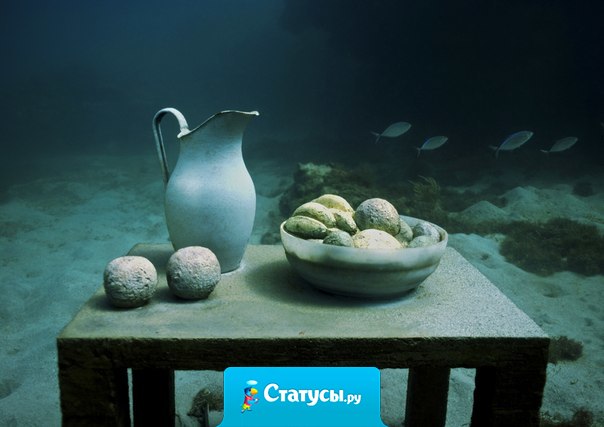 Требуется лишь минута, чтобы заметить кого-то. Час, чтобы кто-то понравился. День, чтобы полюбить кого-то, и вся жизнь, чтобы забыть...