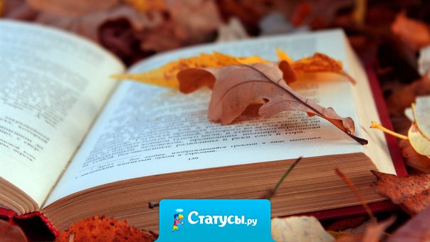 Сколько бы лет тебе не исполнилось, нет ничего лучше хорошей книги в руках...