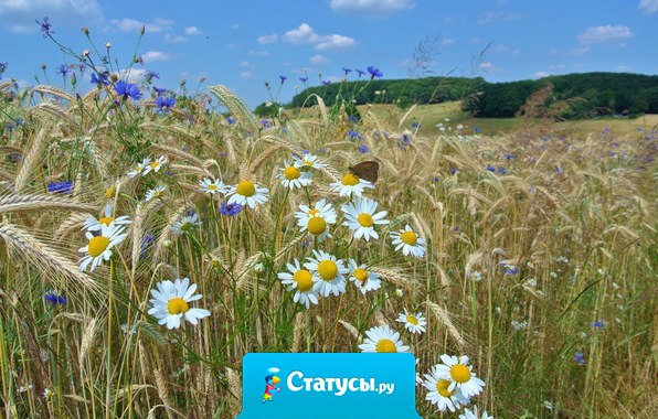 Счастья кругом — сколько угодно. Только нагибайся и подбирай...