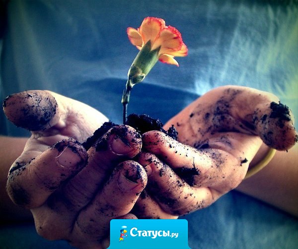 Тебе давно пора начать жить одним днём. Какая разница, что будет завтра или через неделю? Главное, чтобы тебе сегодня было хорошо...