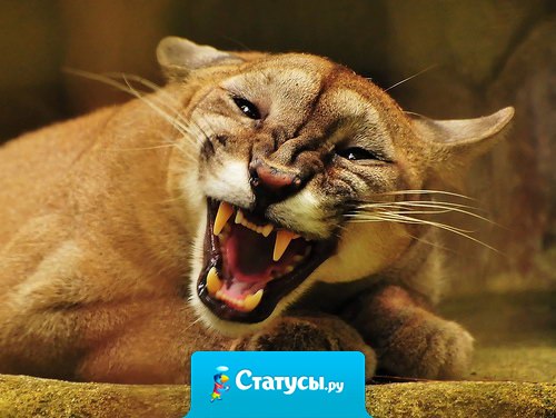 Не грози, если не можешь исполнить — это демонстрация слабости...