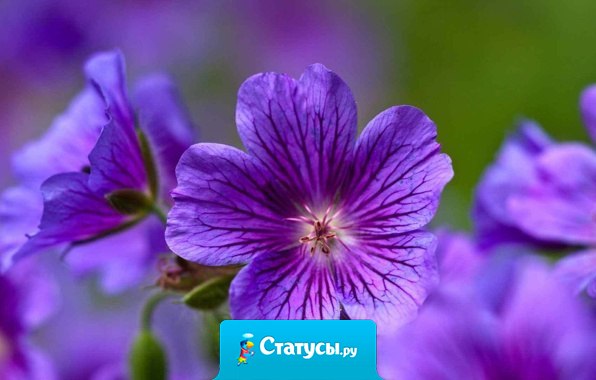 Ни один человек не счастлив, пока он не считает себя счастливым...