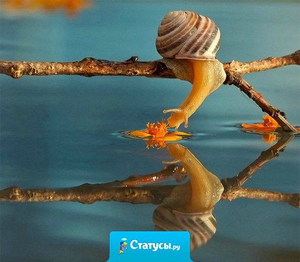 Если есть у тебя для жилья закуток – В наше подлое время – и хлеба кусок, Если ты никому не слуга, не хозяин – Счастлив ты и во истину духом высок...