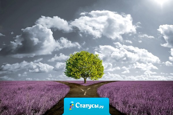 Человек сам своими руками должен прокладывать путь в жизни...