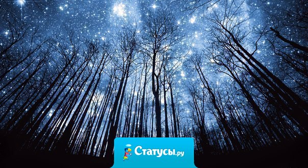 Любуйтесь звездами, но при этом твердо стойте на земле...