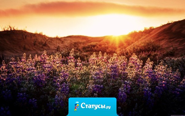 Слава, которая приходит к тому, кто стал уже прахом, — запоздалая слава...